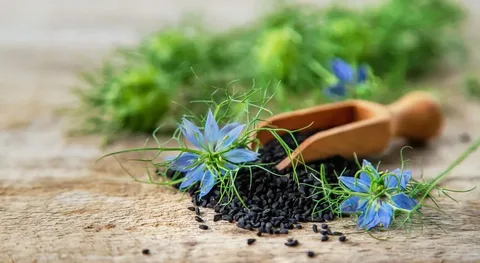 Black Cumin