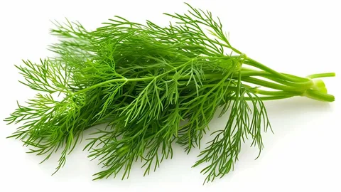 Dill